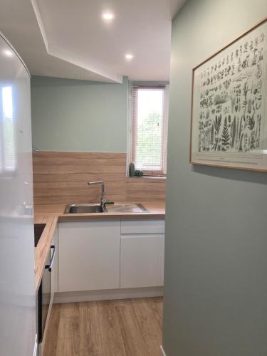 a kitchen with a sink and a counter top at Alex Place's in Saint-Ouen-lʼAumône