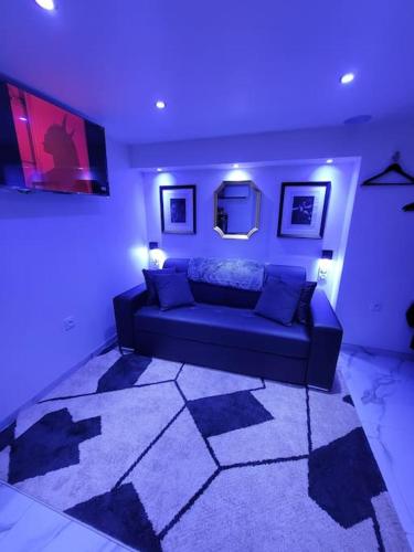 un salon avec un canapé bleu dans une pièce dans l'établissement Studio élégant l'orchidée Jacuzzi en intérieur toute l'année, à Juvignac