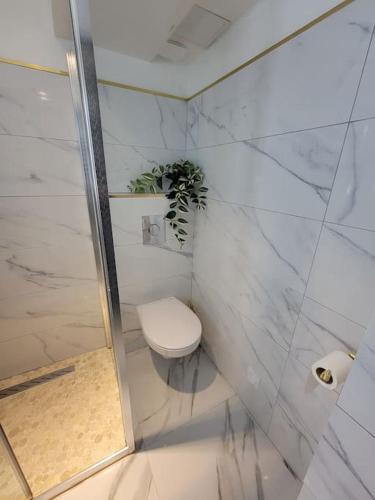 La salle de bains blanche est pourvue de toilettes et d'une plante. dans l'établissement Studio élégant l'orchidée Jacuzzi en intérieur toute l'année, à Juvignac