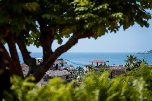 a view of the beach from a tree at Ensueño de Fuga in Zihuatanejo