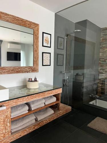 a bathroom with a sink and a mirror and a shower at Casa Mont-mar in Montrás