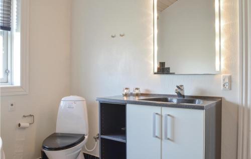 a small bathroom with a sink and a toilet at Stunning Home In Skjern With Kitchen in Lem