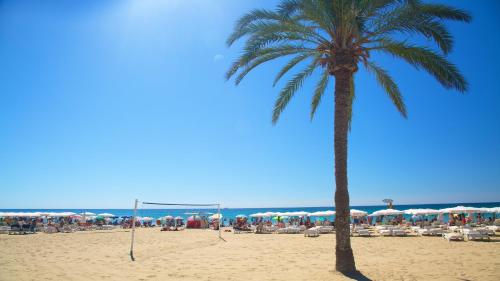 HB Apartments - Mercado Central - Rambla Alicante - La Suite de la Playa