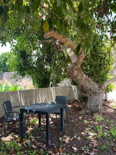 a table and two chairs under a tree at Casa Patio FincaEcoAmaro in Puerto de Santiago