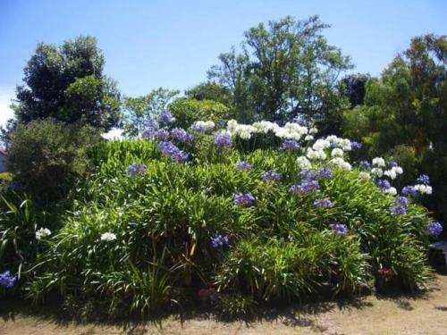 Taman di luar Beside the lagoon - Waikanae Beach