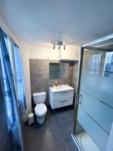 une salle de bain avec toilettes, lavabo et douche dans l'établissement Spacious Apartment in Montparnasse, à Paris