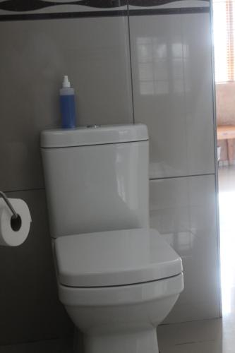 Ένα μπάνιο στο Falcon Guesthouse