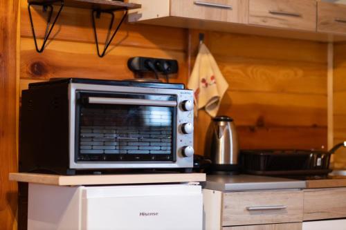 a microwave oven sitting on top of a kitchen counter at Brvnara Nina in Kremna
