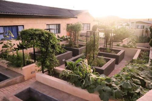 a garden with trees and plants in concrete planters at du Repos (Lovely & Relaxing 2-Bedroom Unit with Patio) in Springbok