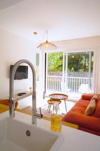 Il dispose d'une cuisine avec un évier et d'un salon avec un canapé. dans l'établissement Le Petit Félix, à 2 pas du lac & du centre ville, à Annecy