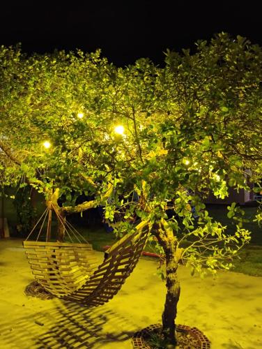 a hammock hanging from a tree in a yard at Pousada Santo Amaro in Santo Amaro