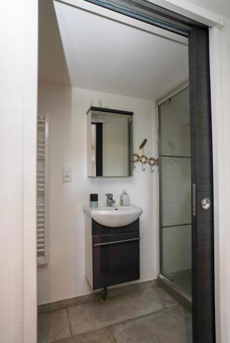 une salle de bain avec un lavabo et une douche dans l'établissement Le repos au bord du cher, à Saint-Avertin