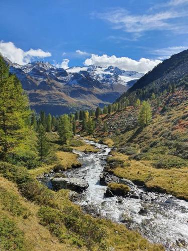 a river in the middle of a valley with mountains at WASCHERHOF - Ferienwohnungen Oberhofer in Martello