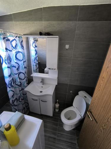 a small bathroom with a toilet and a sink at Mountain House - Brezovica in Brezovicë