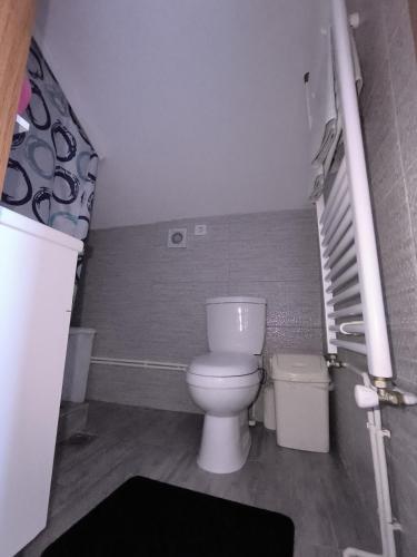 a small bathroom with a toilet and a staircase at Mountain House - Brezovica in Brezovicë