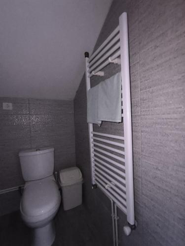 a bathroom with a toilet and a towel rack at Mountain House - Brezovica in Brezovicë
