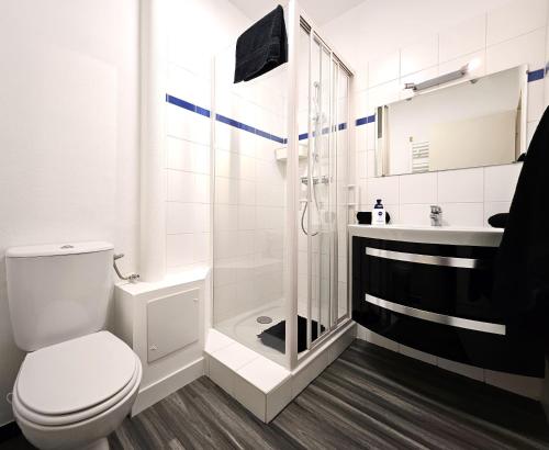 une salle de bain avec toilettes, douche et lavabo dans l'établissement Studio Cosy- Hyper Centre Ville, à Colmar