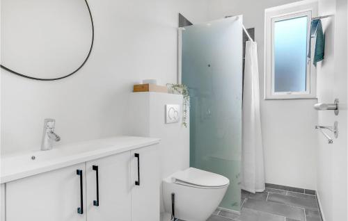 a bathroom with a toilet and a sink and a mirror at 3 Bedroom Lovely Home In Fjerritslev in Fjerritslev