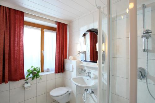a bathroom with a toilet and a sink and a shower at Apartment Haus Janine in Westendorf
