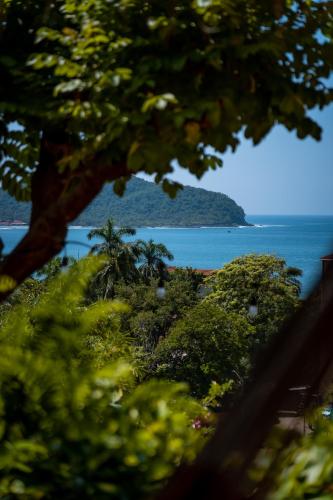 a view of the ocean from a tree at Ensueño de Fuga in Zihuatanejo