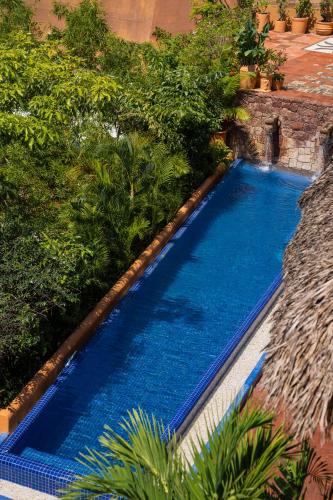 a blue swimming pool in a yard with plants at Ensueño de Fuga in Zihuatanejo