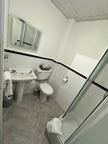 Un baño blanco con lavabo e inodoro. en New Masons Arms, en Leeds