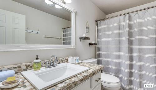 a bathroom with a sink and a toilet and a shower at Milton Waterfront Home with Dock & Outdoor Kitchen in Milton