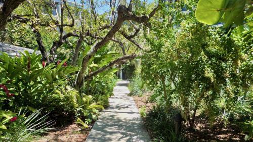 a path through a garden with trees and plants at Conch in the Treetops by Last Key Realty in Key West