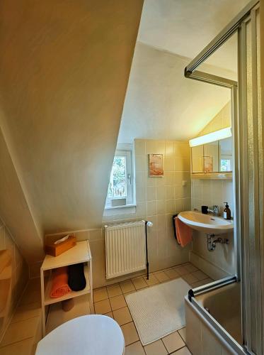 a small bathroom with a sink and a toilet at Gemütliches Studio - Dachwohnung mit Blick über das Kinzigtal in Gelnhausen