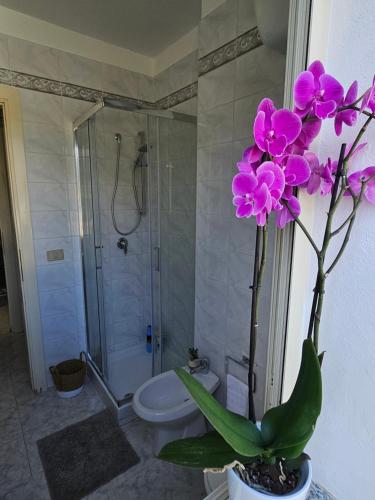 a bathroom with a shower and a toilet and a plant at Villa Mary Holiday Home Near Villasimius in Quartu SantʼElena