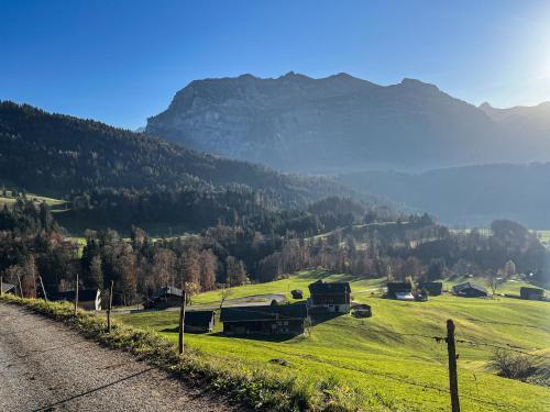 a green field with a mountain in the background at Sonnes Apartment in Andelsbuch