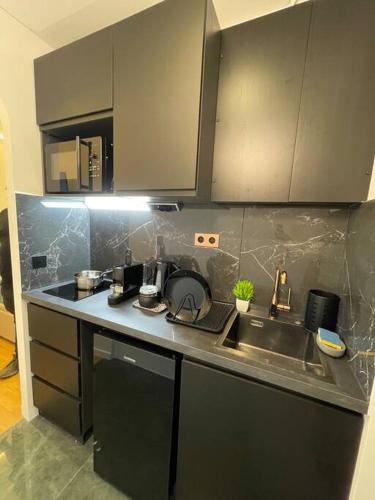 une cuisine avec un évier et un plan de travail dans l'établissement Cosy Appart Paris 8e champs elysees Miromesnil, à Paris