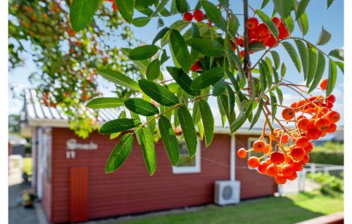 a tree with fruit in front of a red building at Holiday Home Haderslev 2 in Diernæs