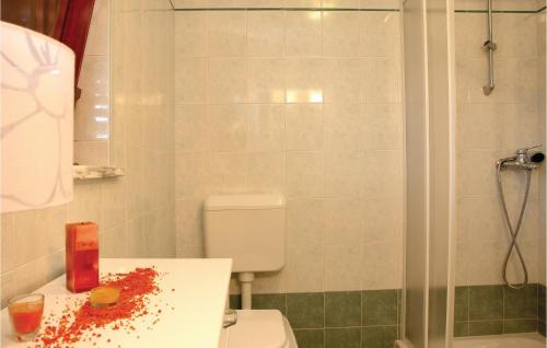 a bathroom with a toilet and a shower with red debris at Cozy Home In Kapelica With Wifi in Raša