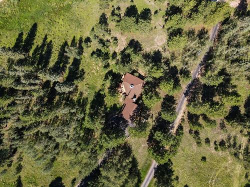 an aerial view of a house in a field with trees at Multiple Decks, Solarium Sitting Room, Dog Friendly, Office Space in Woodland Park