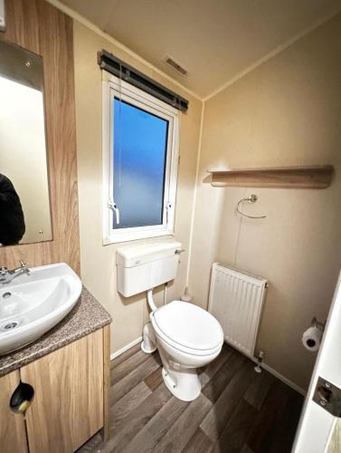 a bathroom with a toilet and a sink and a window at Willerby, Peppy, Sycamore Walk, Lyons Robin Hood Holiday Park in Rhyl