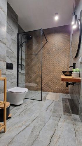 a bathroom with a shower and a toilet at Brama Lwowska Apartamenty - www-bramalwowska-pl in Zamość