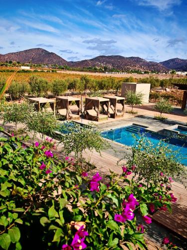 a backyard with a picnic table and a pool with flowers at Hotel Flores de Sal-Valle de Guadalupe in Valle de Guadalupe