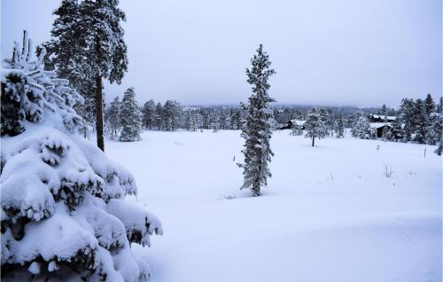 a field covered in snow with trees and houses at Cozy Home In Noresund With Kitchen in Noresund