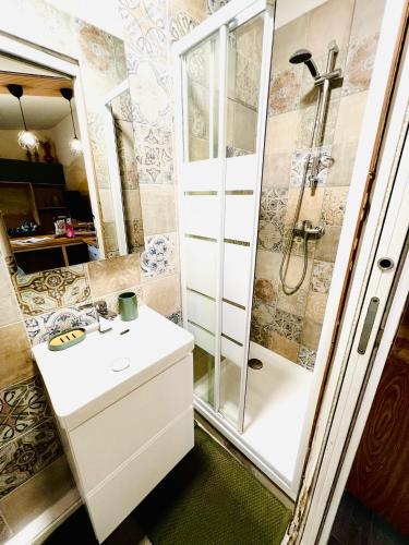 une salle de bain avec un lavabo et une douche dans l'établissement bel studio paris, pantin, à Pantin