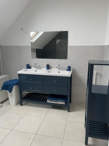 a bathroom with a sink and a mirror at Le gîte de Myrlène-30min Parc Fédéral-12min CNPE CAUTION OBLIGATOIRE SWIKLY in Sully-sur-Loire