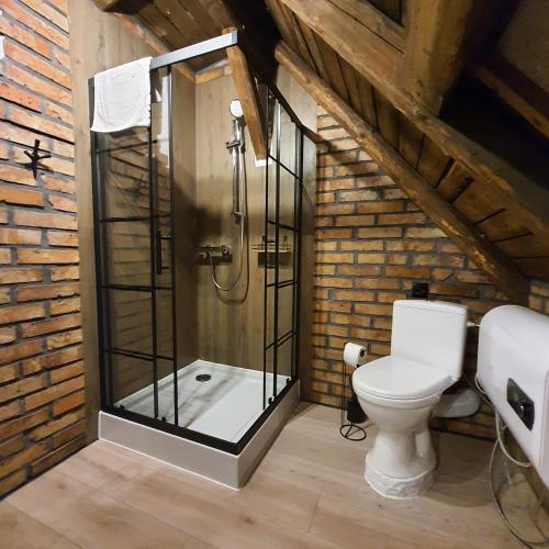 a bathroom with a toilet and a glass shower at Apartament wiejska chata 150m2 in Piece