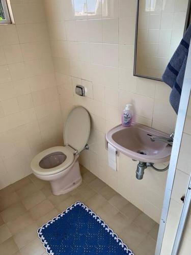 a small bathroom with a toilet and a sink at Sítio com Área de Lazer São José in Sete Lagoas