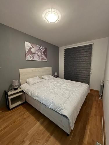 a bedroom with a large bed and a window at Luxury Apartment in Aerodrom in Skopje
