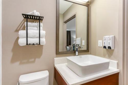 a bathroom with a sink and a toilet and a mirror at Red Roof Inn PLUS Jamaica, NY - JFK Airport in Jamaica