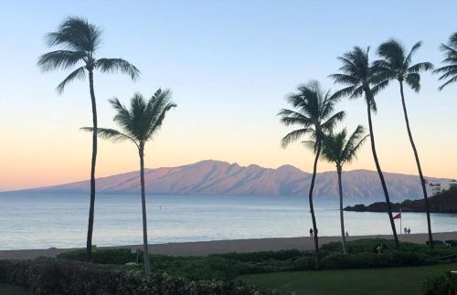 a group of palm trees on a beach with the ocean at The Whaler By Maui Resort Rentals in Lahaina