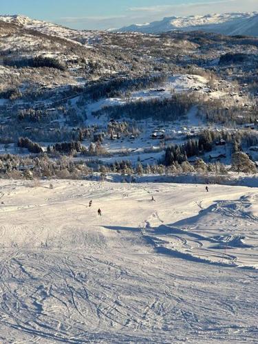 Το Panorama ski inn out, jacuzzi,Badstu τον χειμώνα