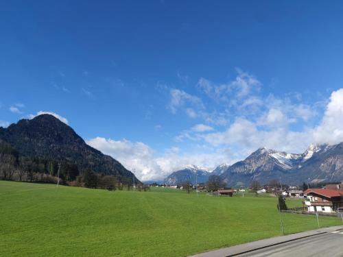 a large green field with mountains in the background at Sonja in Scheffach