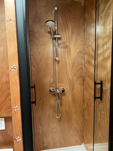 e bagno con doccia e parete in legno. di Sous les toits de la Tavarn Ty Gar a Hennebont