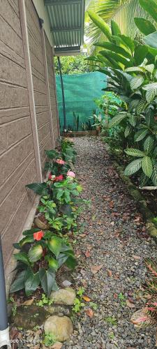 a garden with plants and a walkway next to a building at The Bees House in Fortuna